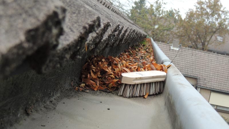 Processed with VSCO with a5 preset